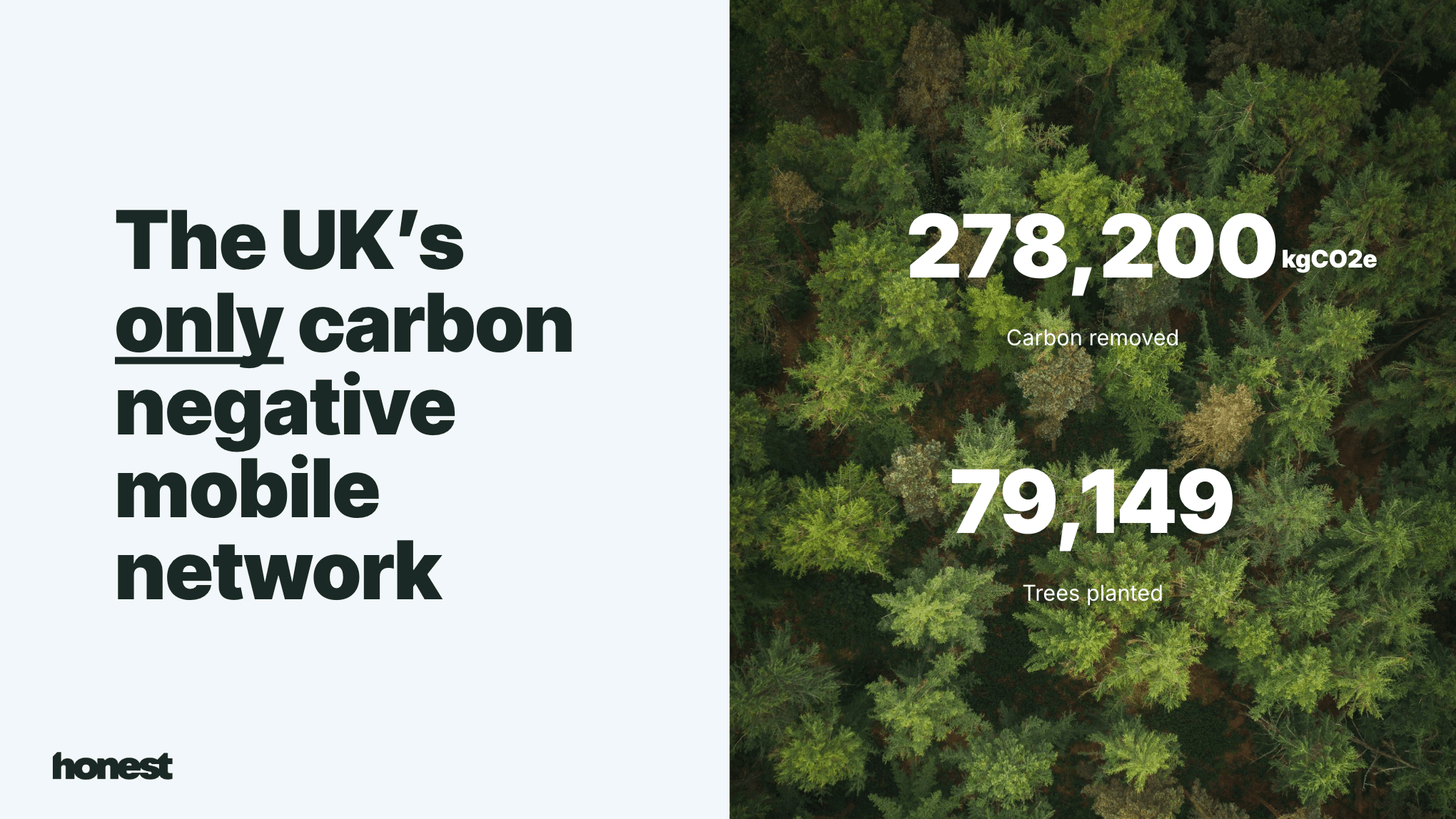 Carbon removed as of 2023, trees planted as of July 2024